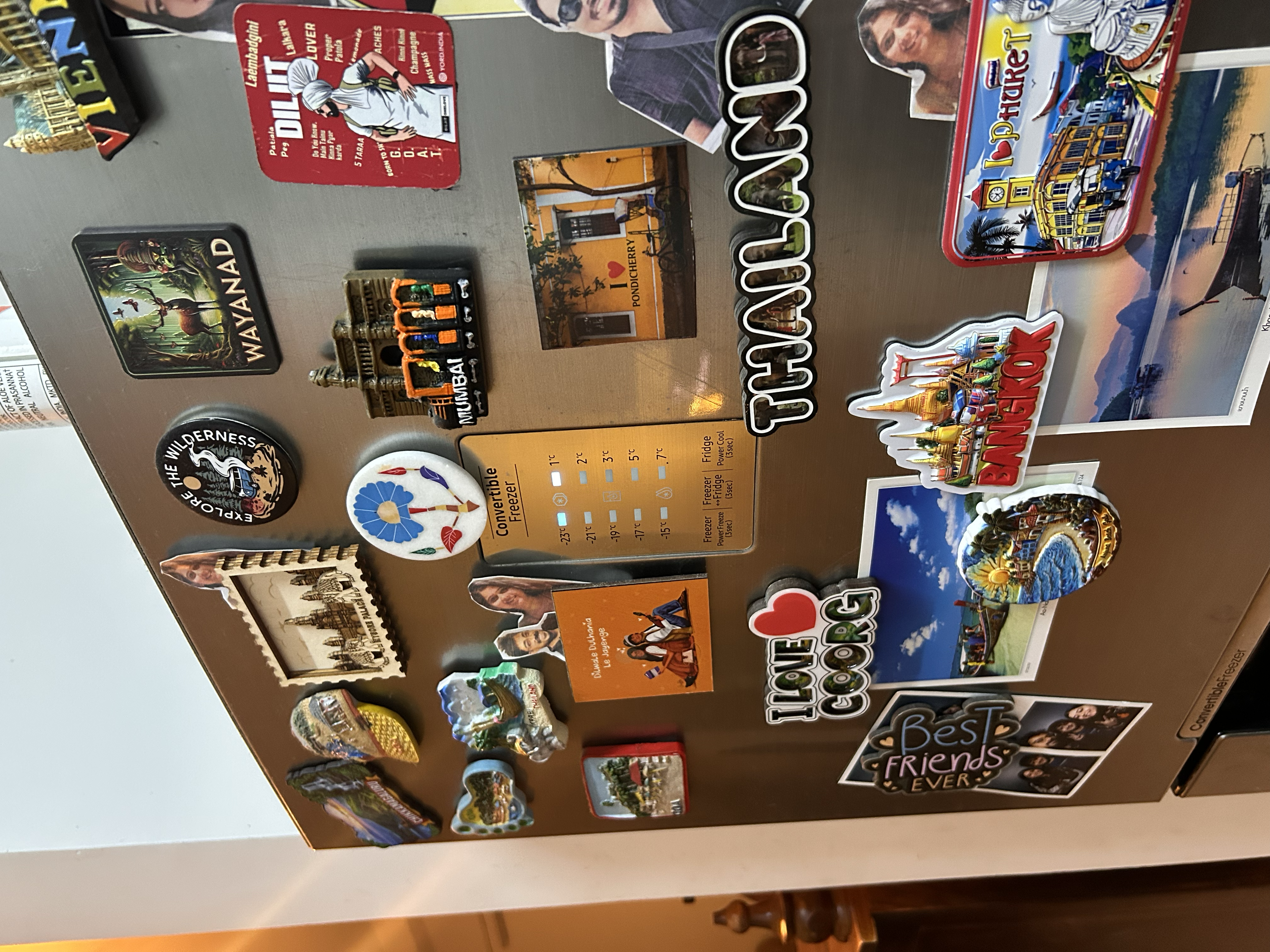 Travel fridge magnets collected by Chahat Bhatia